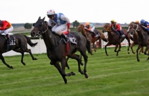 Belmont Stakes Odds   A Quick Tour of the Field